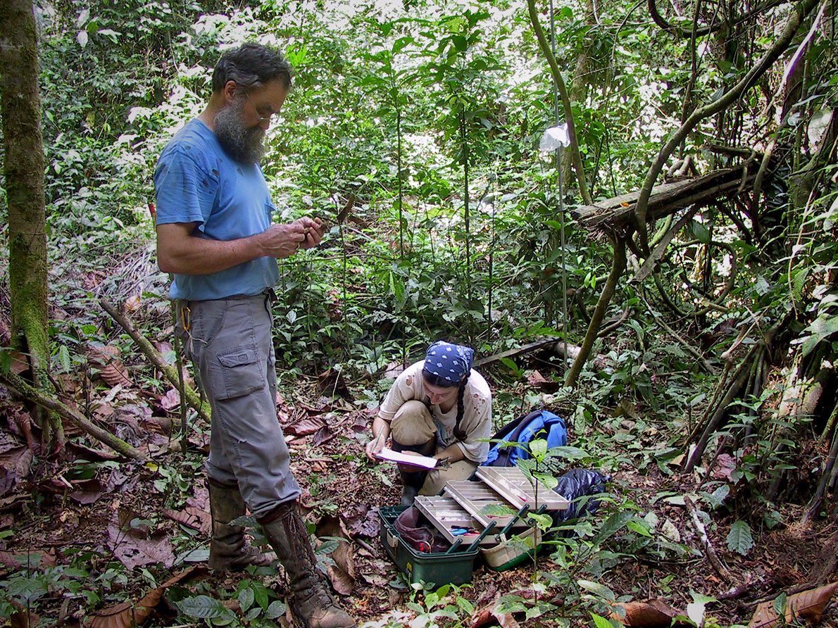 Two people with scientific equipment in the woods.