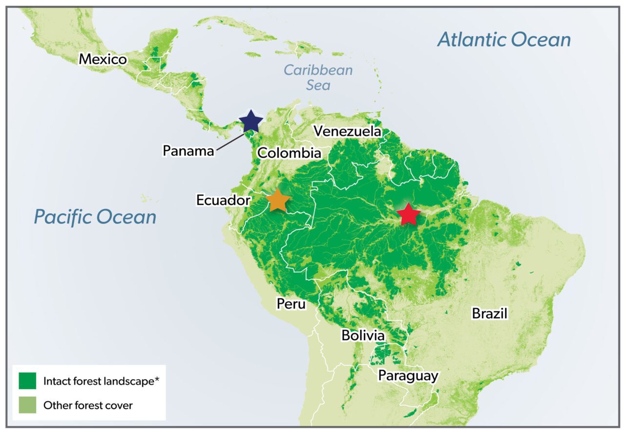 Map of Central and South America with countries and oceans noted, light and dark green indicating forest cover, and three places starred. Key indicates what the colors and places are.