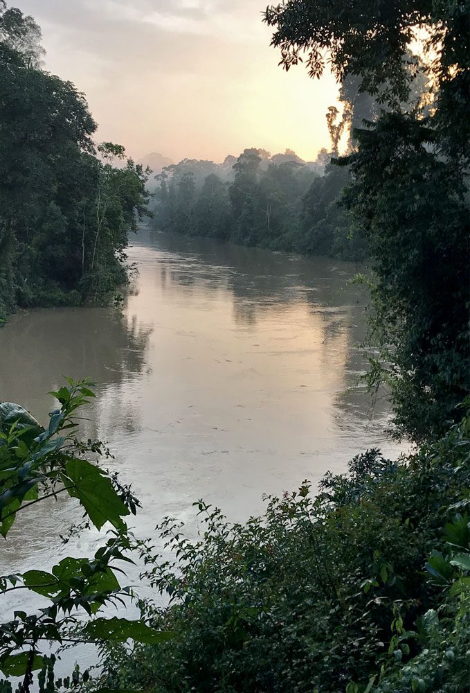 A misty river scene.