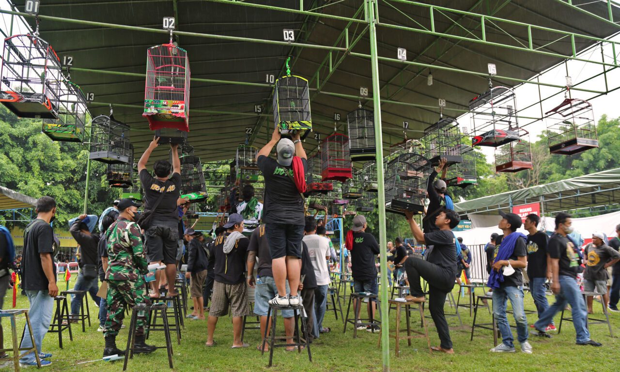 A crowd of people under a tent with many hanging bird cages.