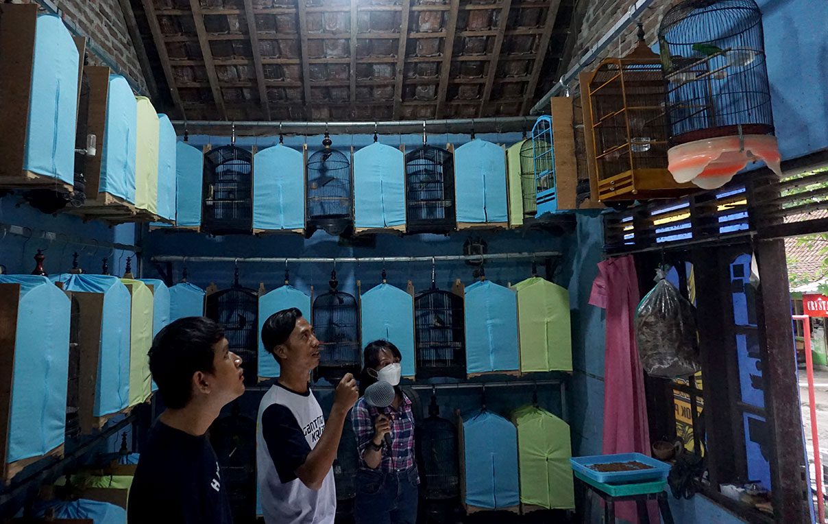 a dark room with many covered cages and three people looking at them.