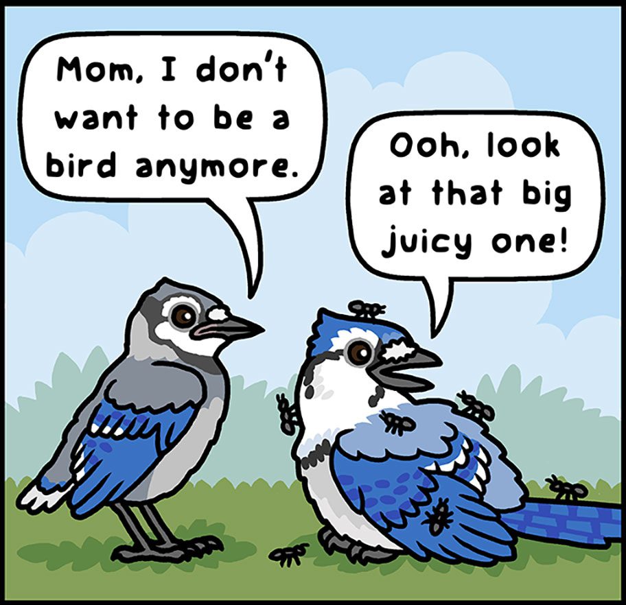 Illustration of atwo blue and white birds. Young bird says: "Mom, I don't want to be a bird anymore," Mother with ants on her says, "Ooh, look at that big juicy one!"